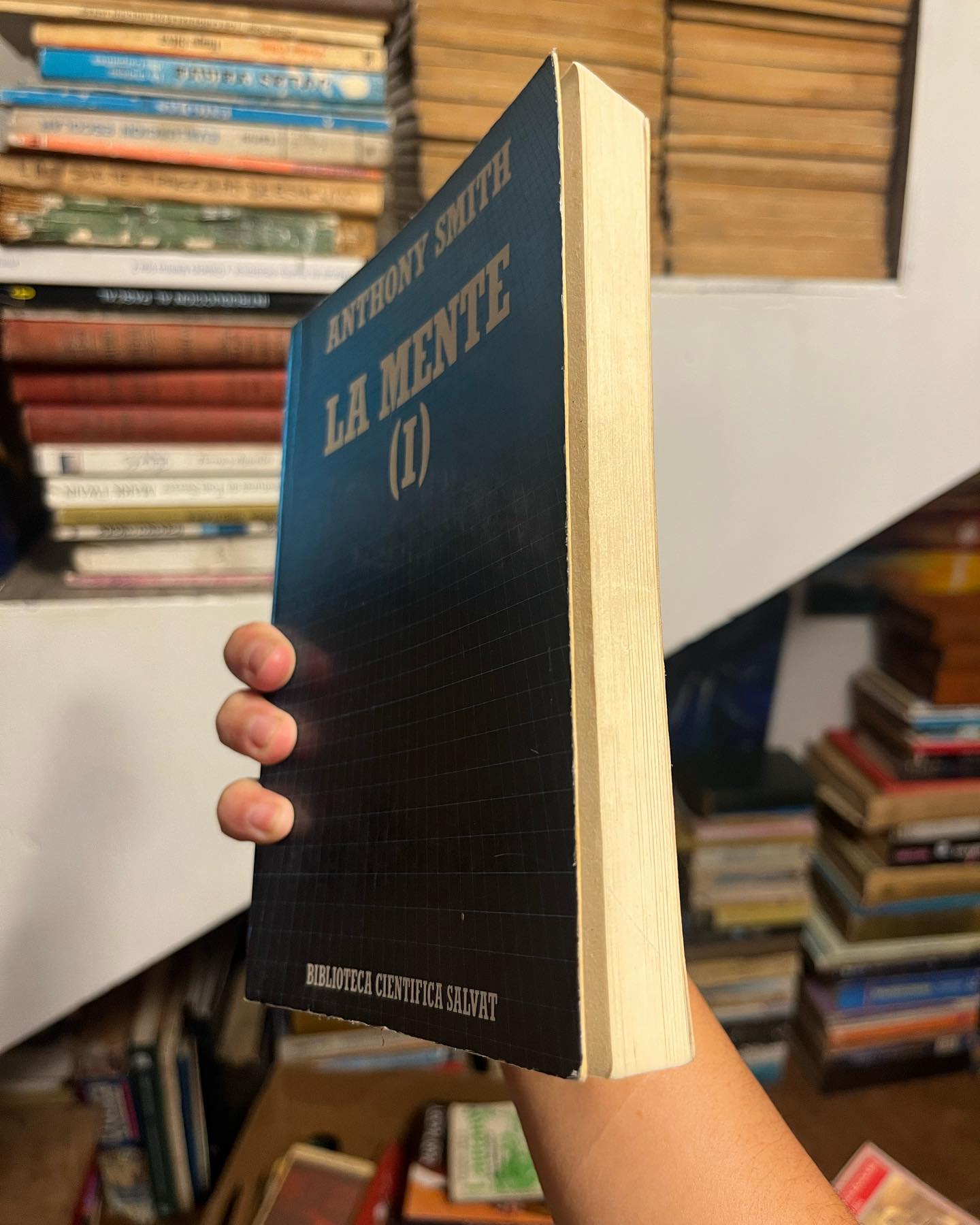 La Mente - Imagen 3