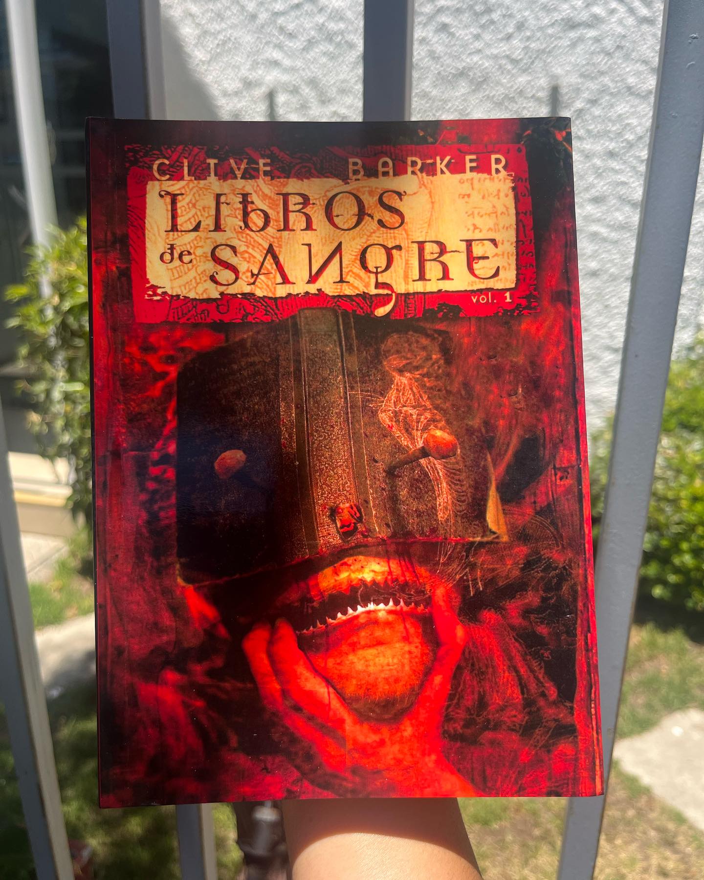 Libros de Sangre I