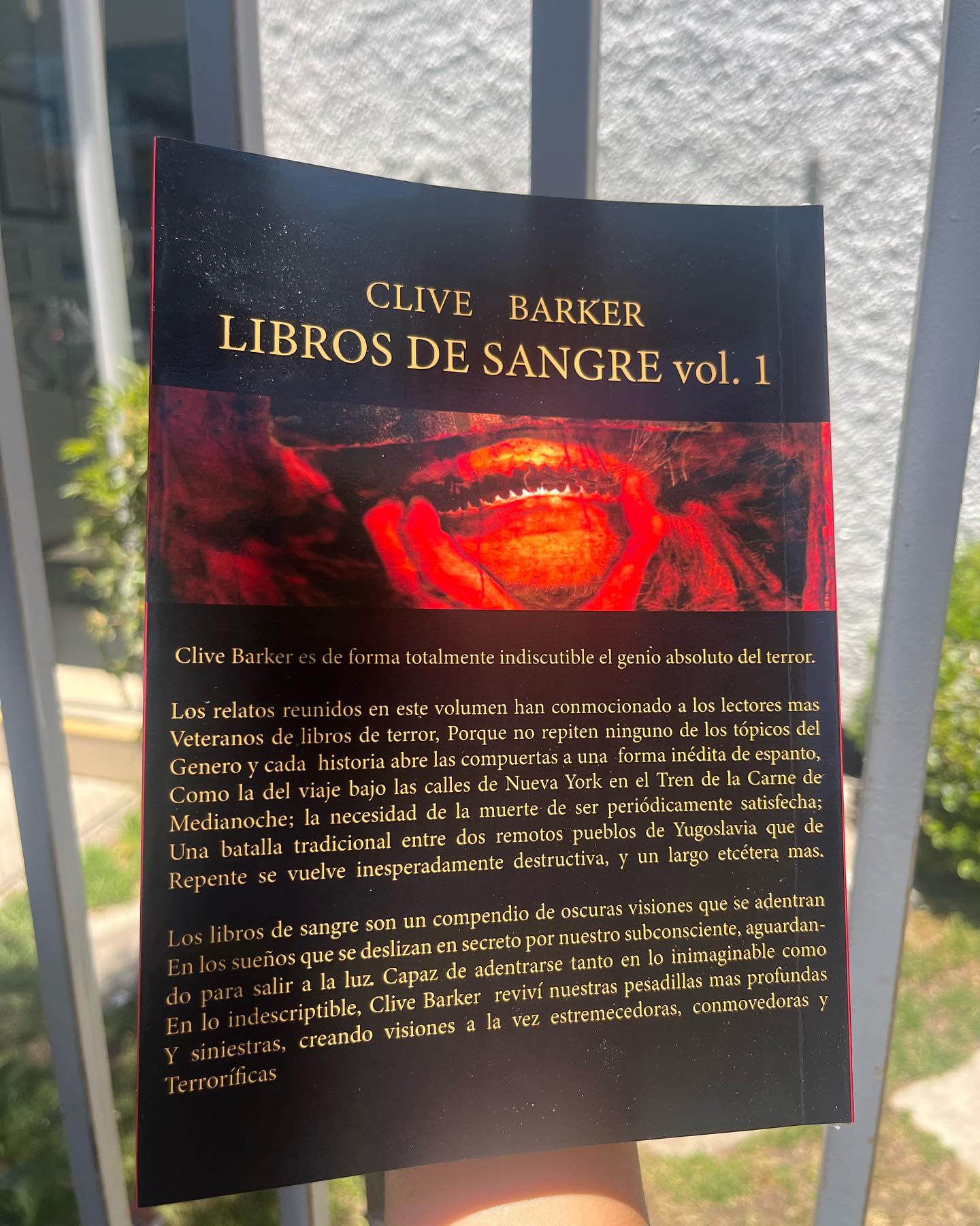 Libros de Sangre I - Imagen 5