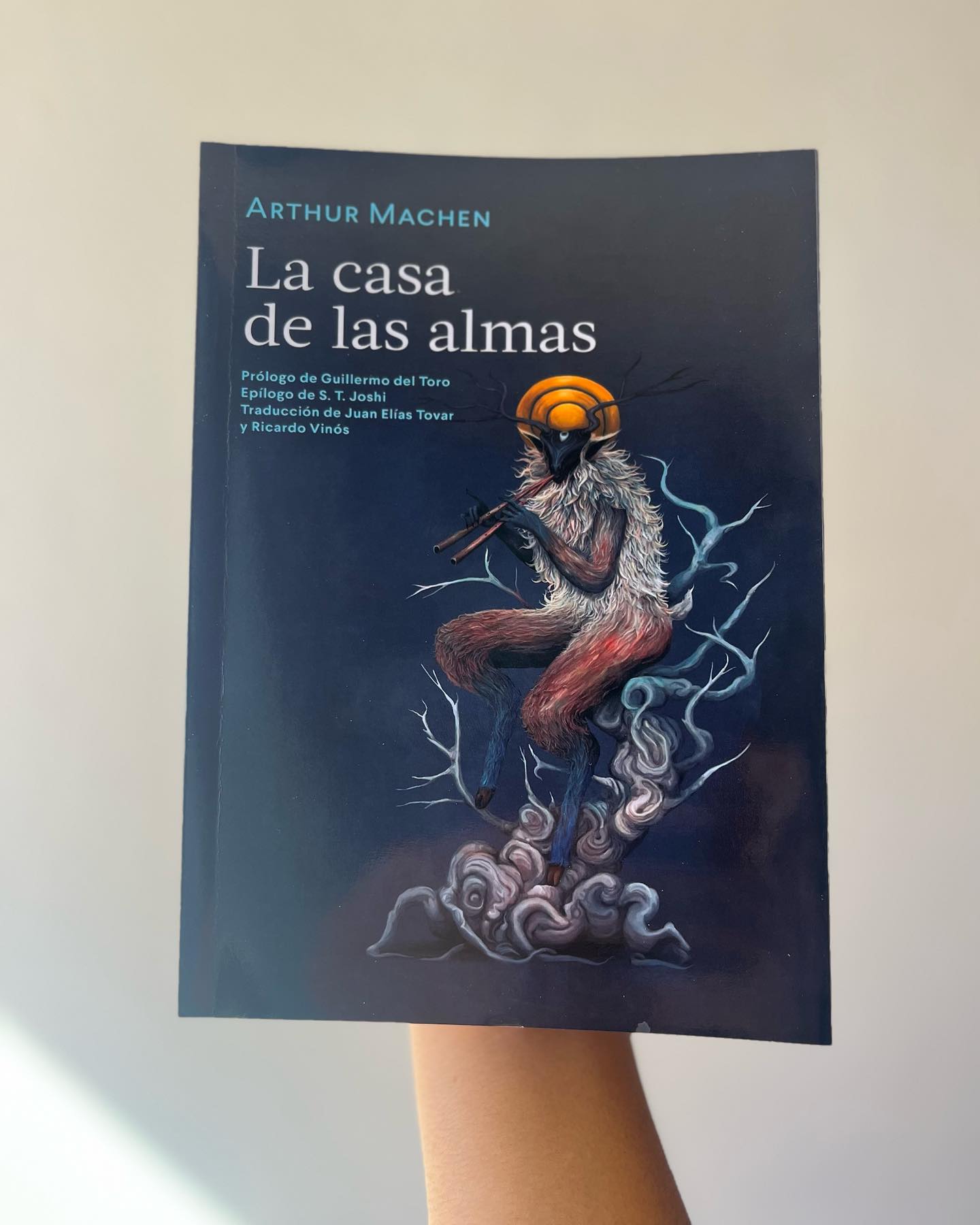 La casa de las almas