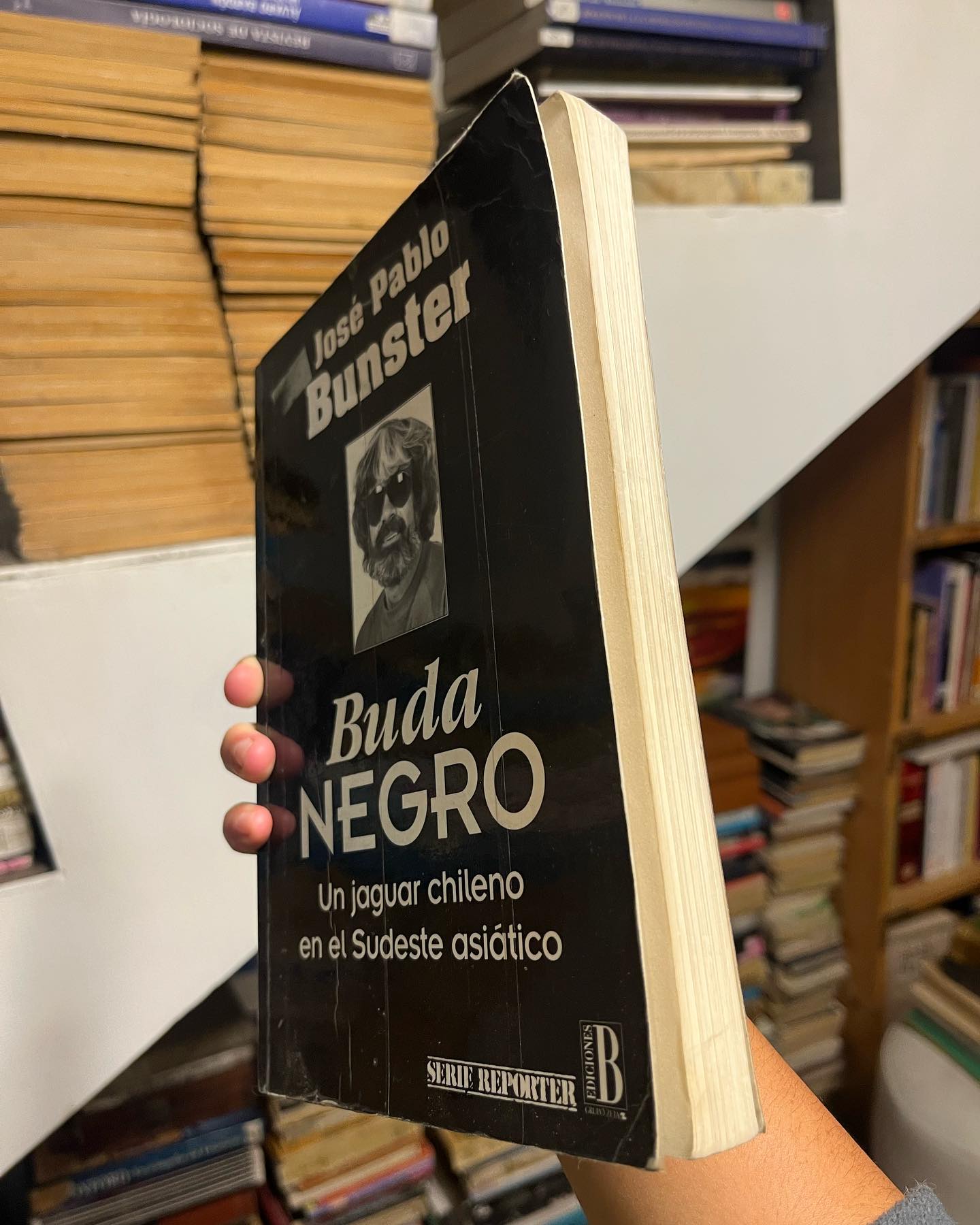 Buda negro. Un jaguar chileno en el Sudeste asiático - Imagen 3