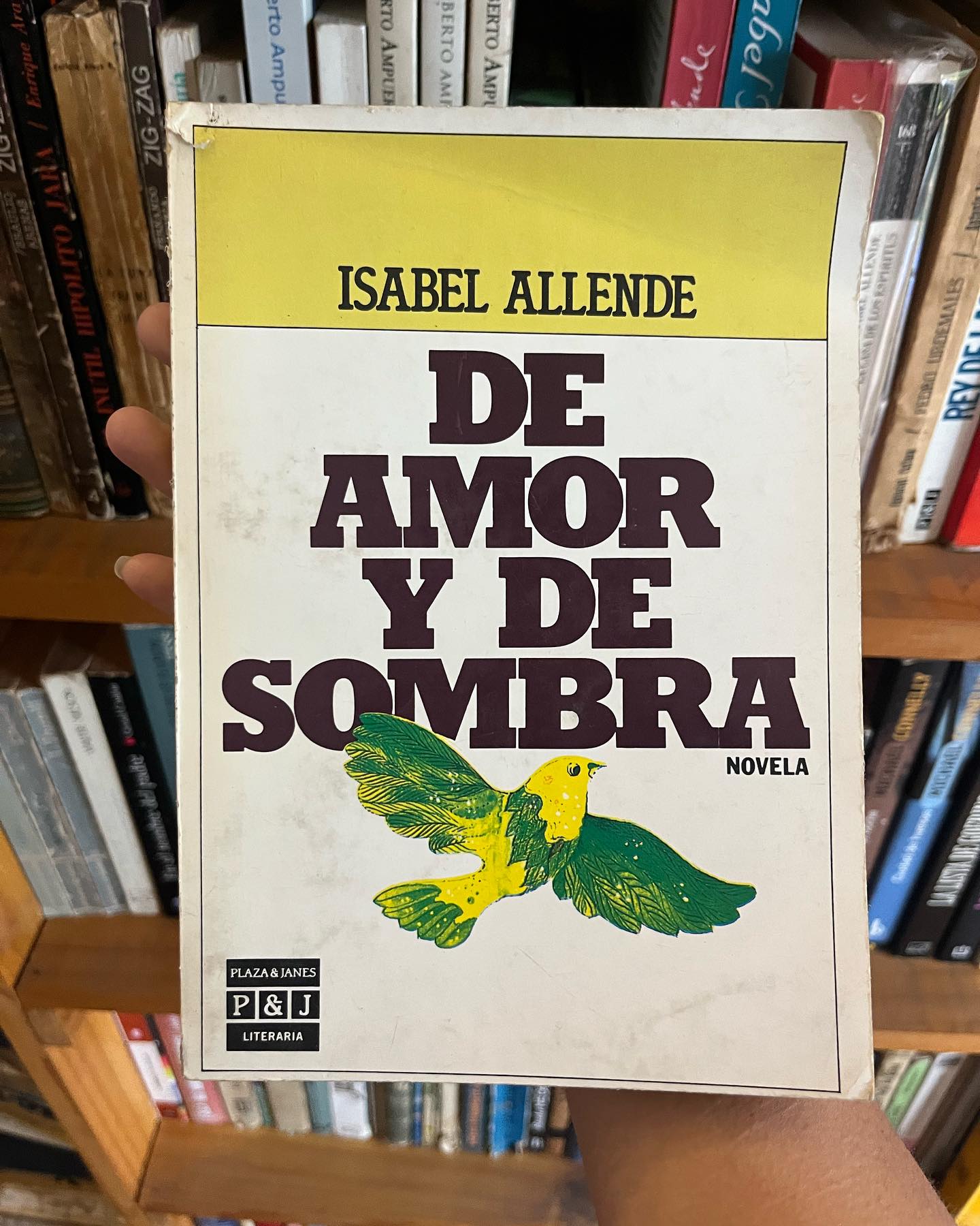 De amor y de sombras