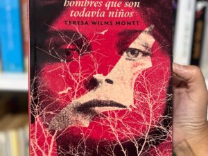 Cuentos para los hombres que son todavía niños