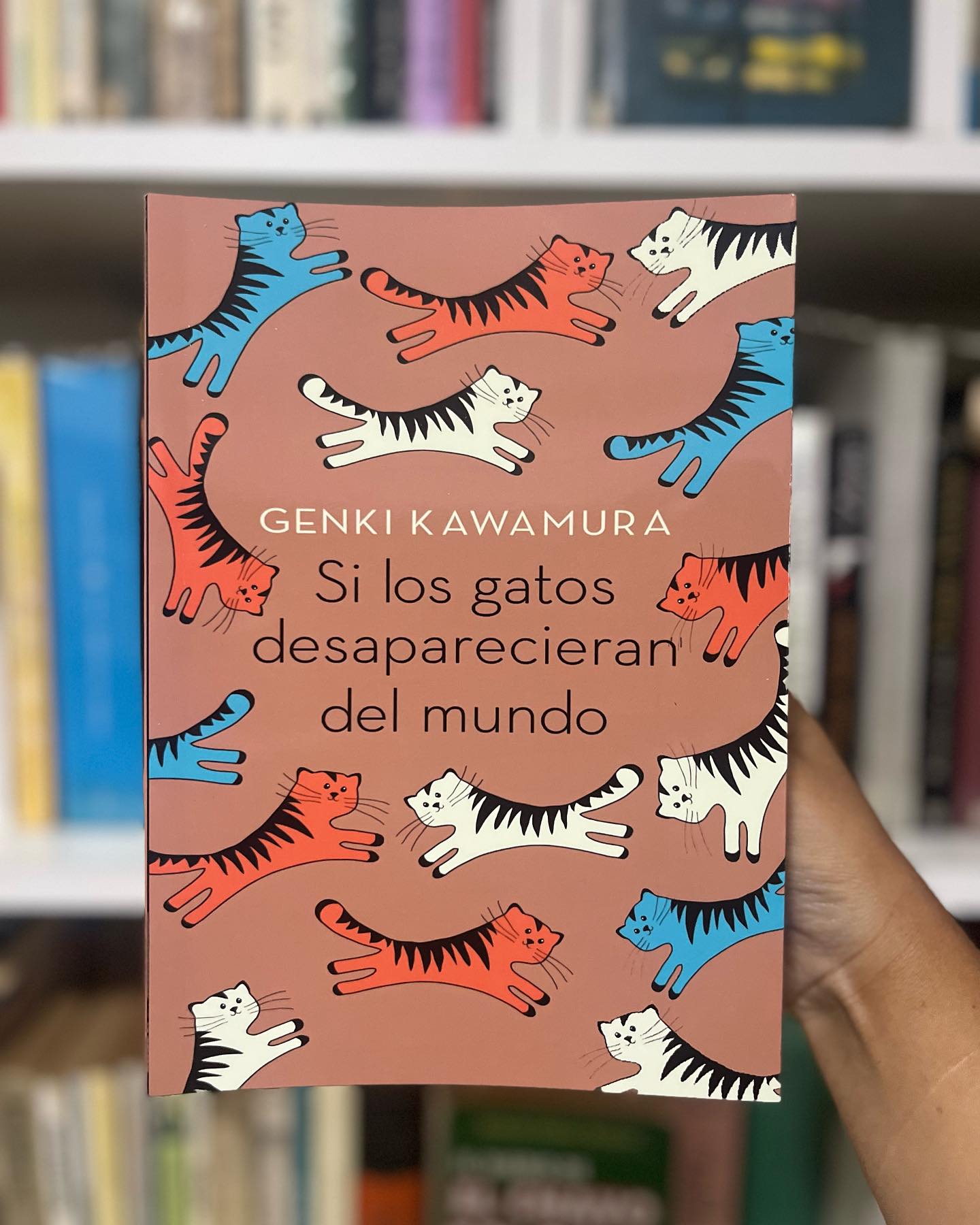 Si los gatos desaparecieran del Mundo - Imagen 2