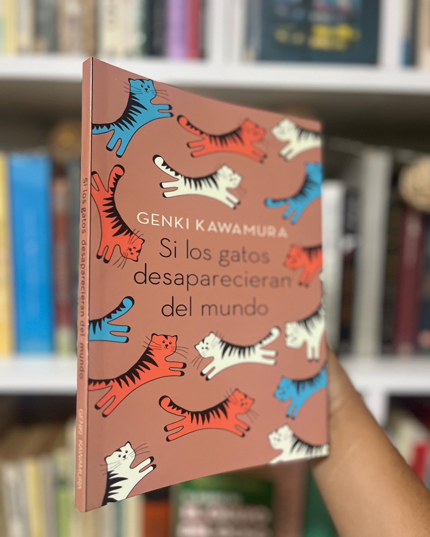 Si los gatos desaparecieran del Mundo - Imagen 6