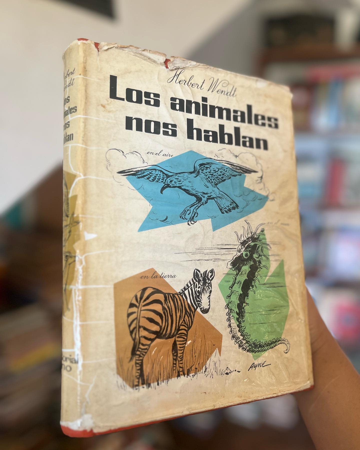Los animales nos hablan - Imagen 2
