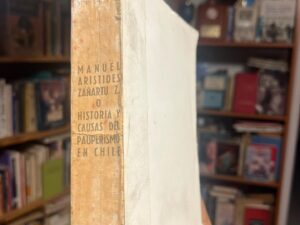 Manuel Arístides Zañartu Z. Historia y causas del pauperismo en Chile