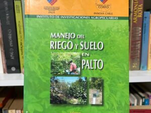 Manejo del riego y suelo en Palto