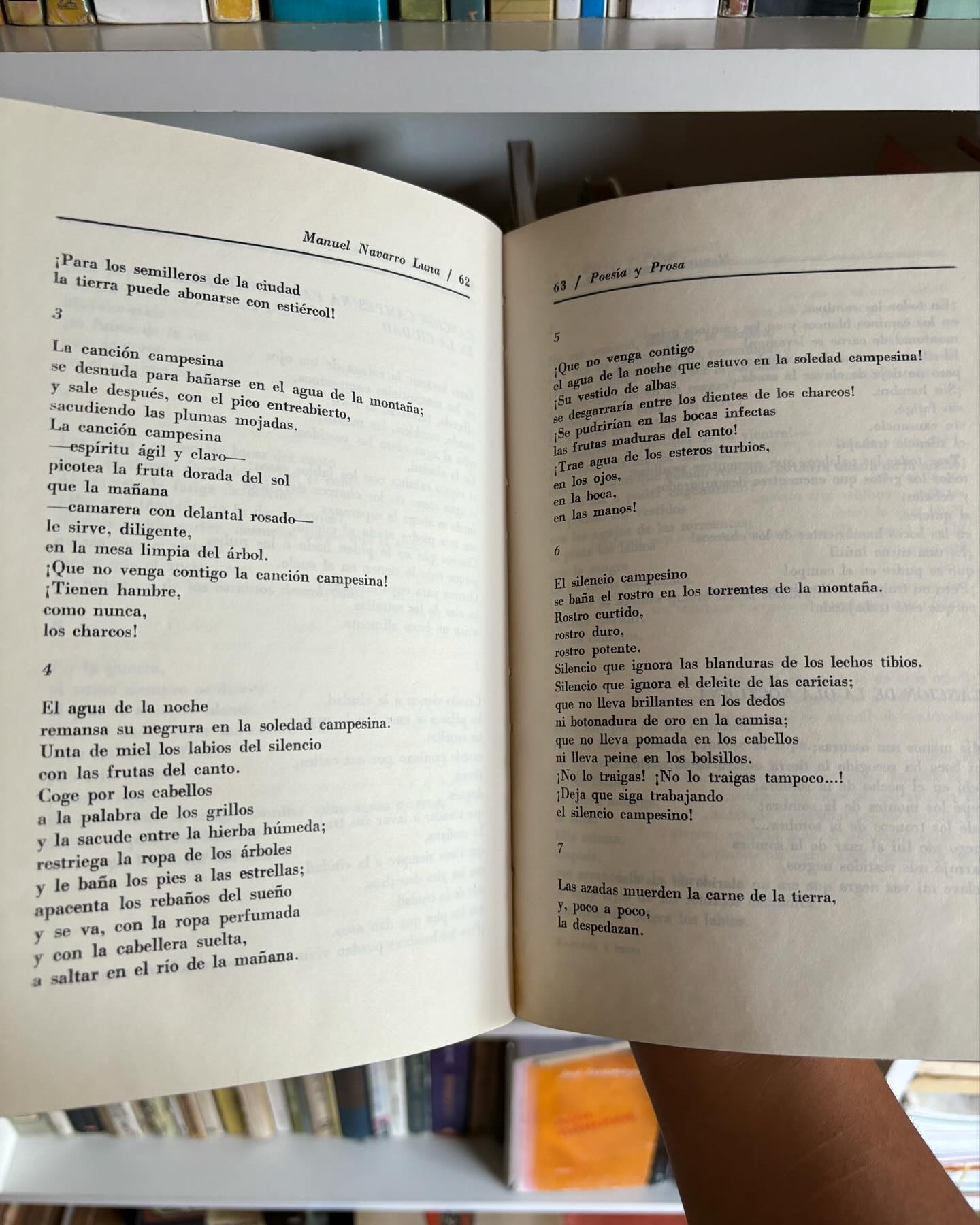 Poesía y Prosa - Imagen 3