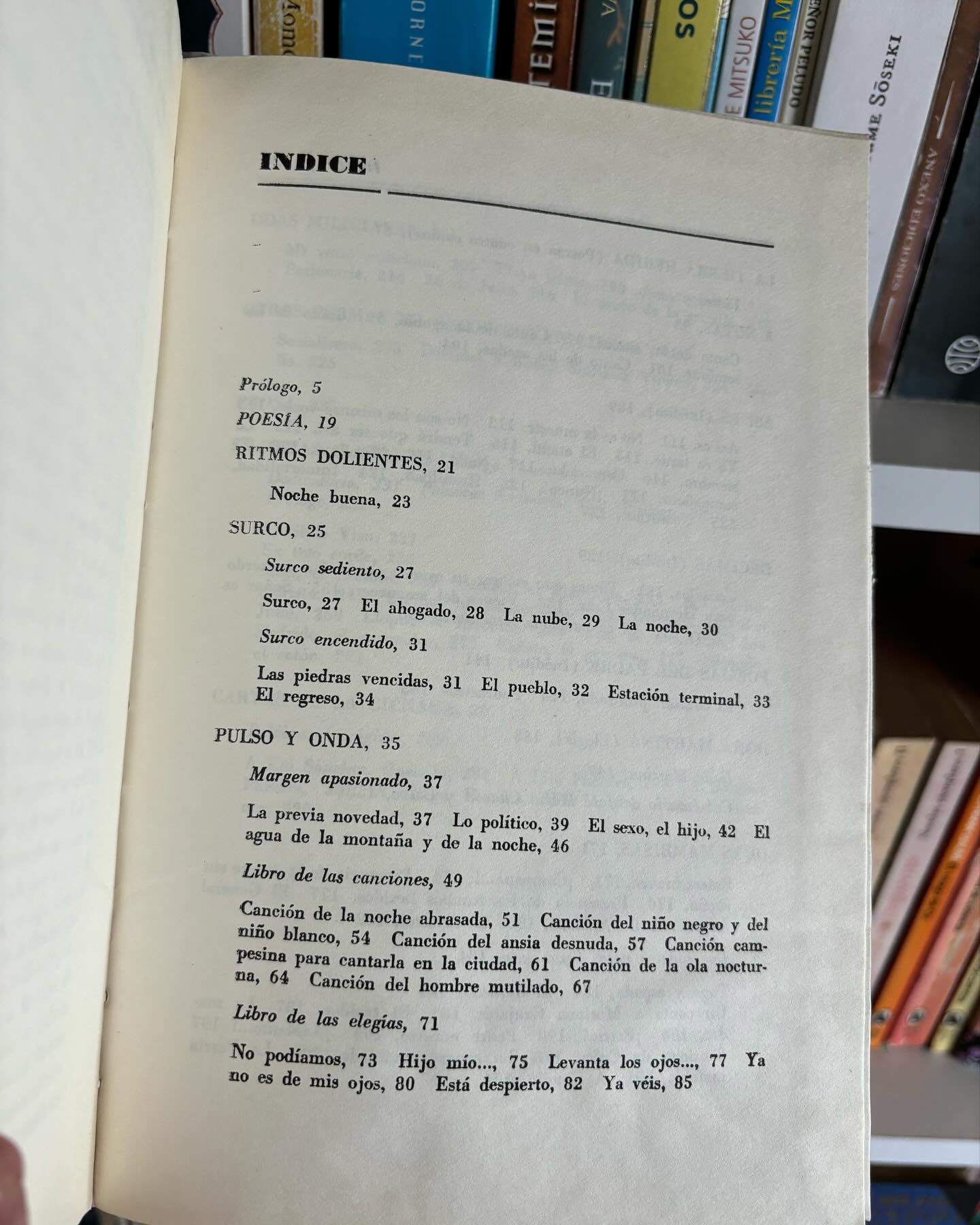 Poesía y Prosa - Imagen 5