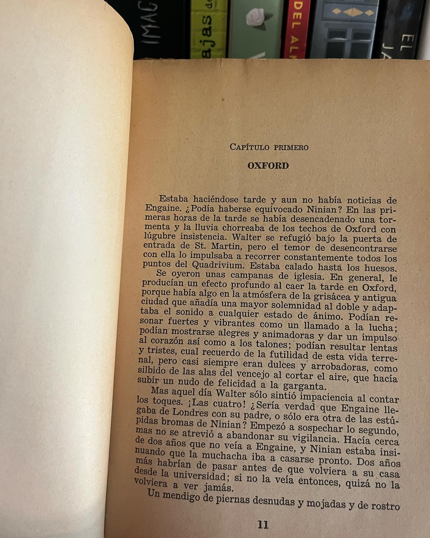 La rosa negra - Imagen 3