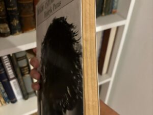 Diario íntimo de Judas
