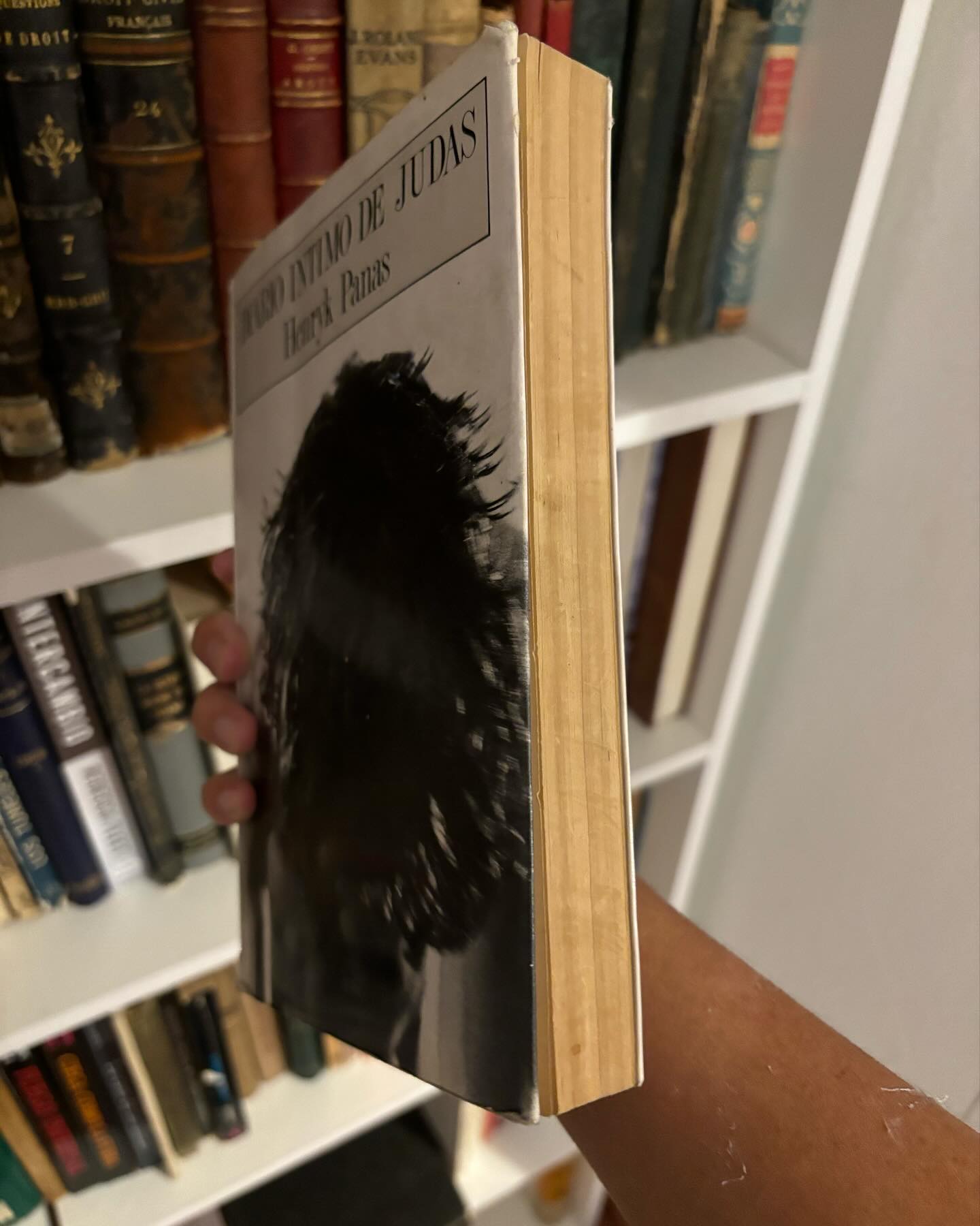 Diario íntimo de Judas