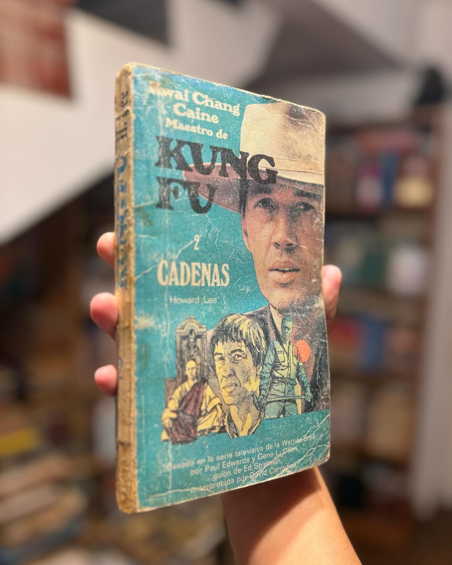 Maestro de Kung Fu - Imagen 2