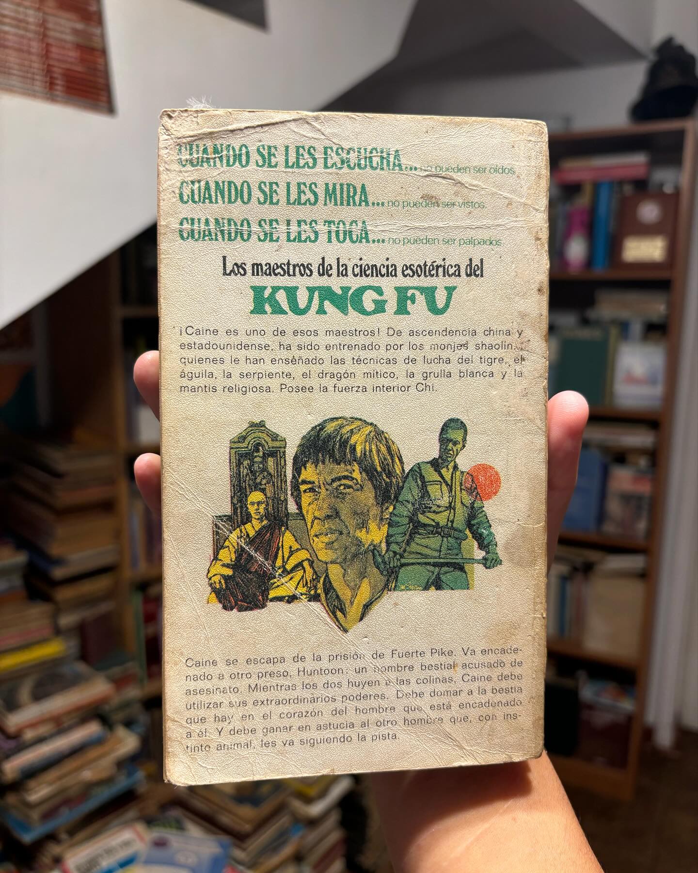 Maestro de Kung Fu - Imagen 5