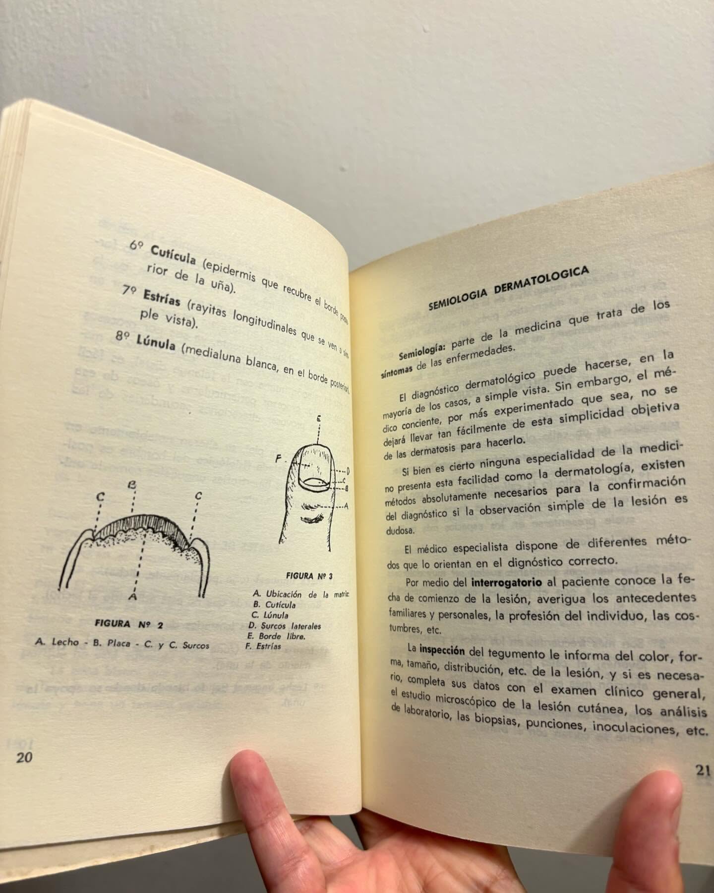 Dermatología del pedicuro - Imagen 5
