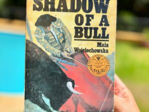 Shadow of a bull