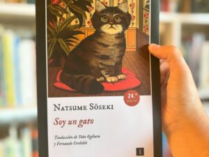 Soy un gato