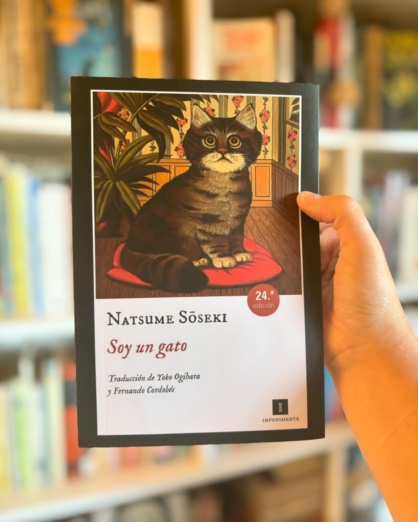 Soy un gato