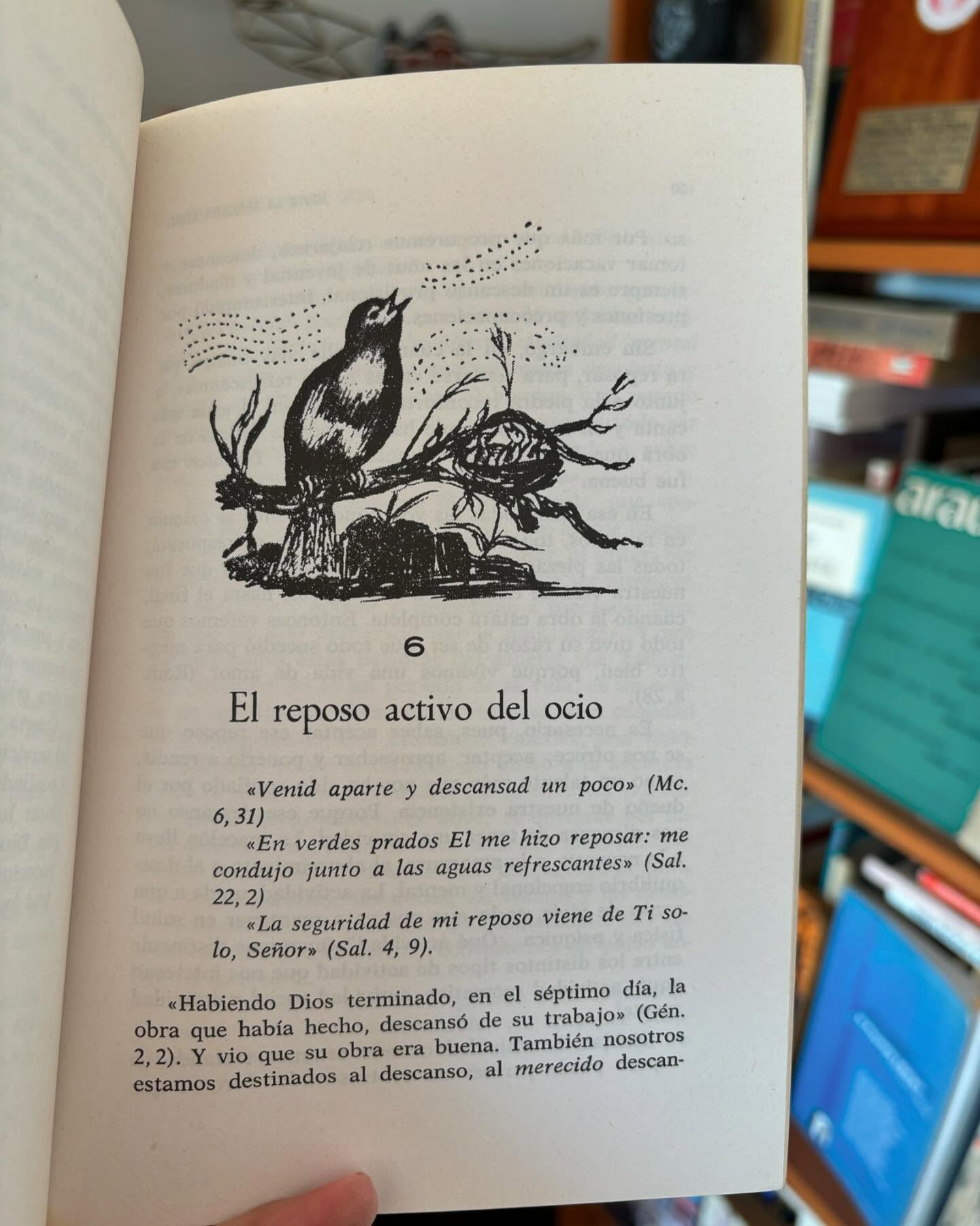 Vivir la tercera edad en la alegría del espíritu - Imagen 4
