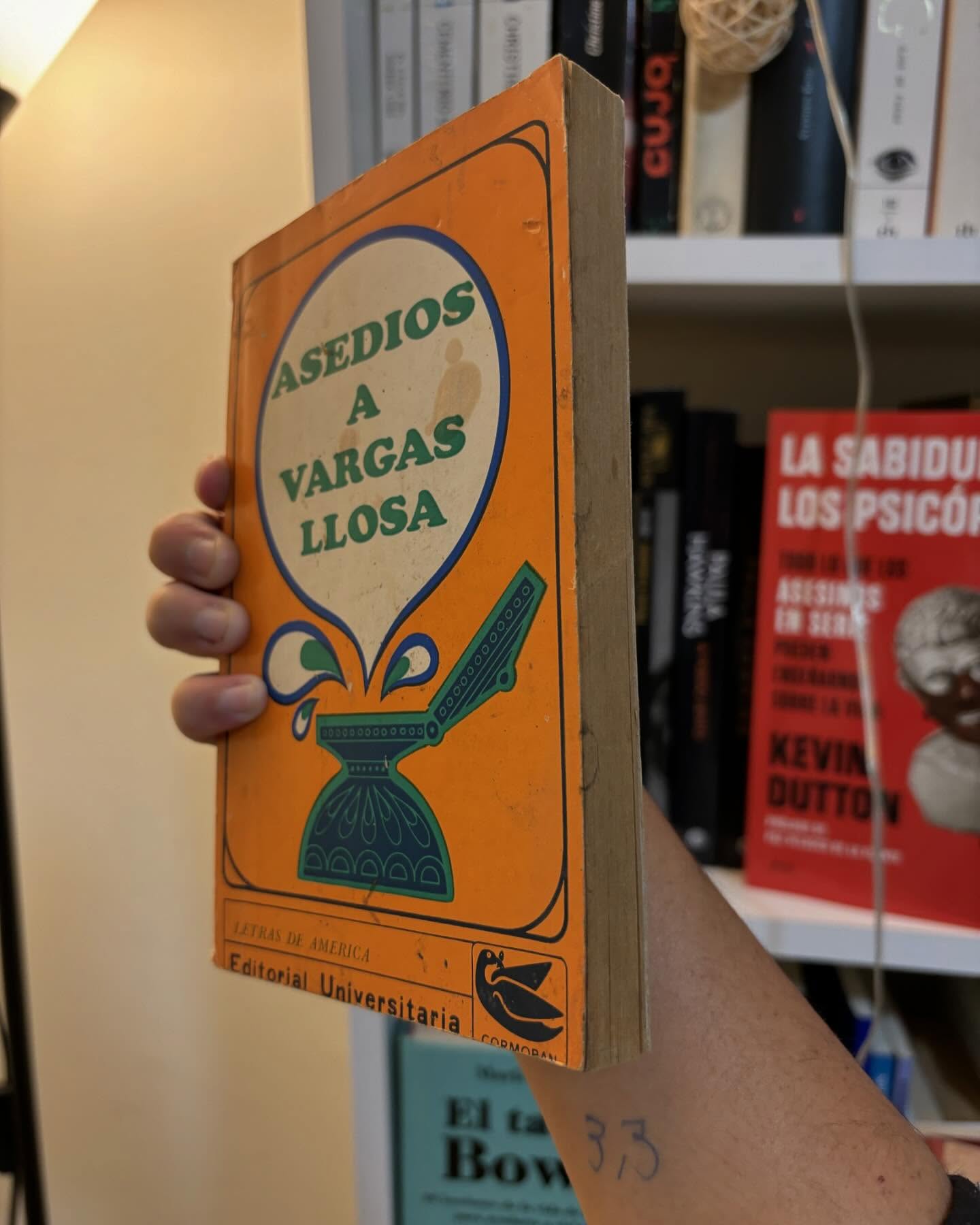 Asedios a Vargas Llosa - Imagen 6