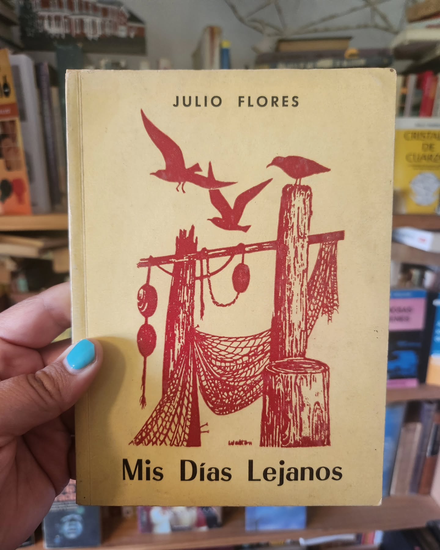 Mis días lejanos