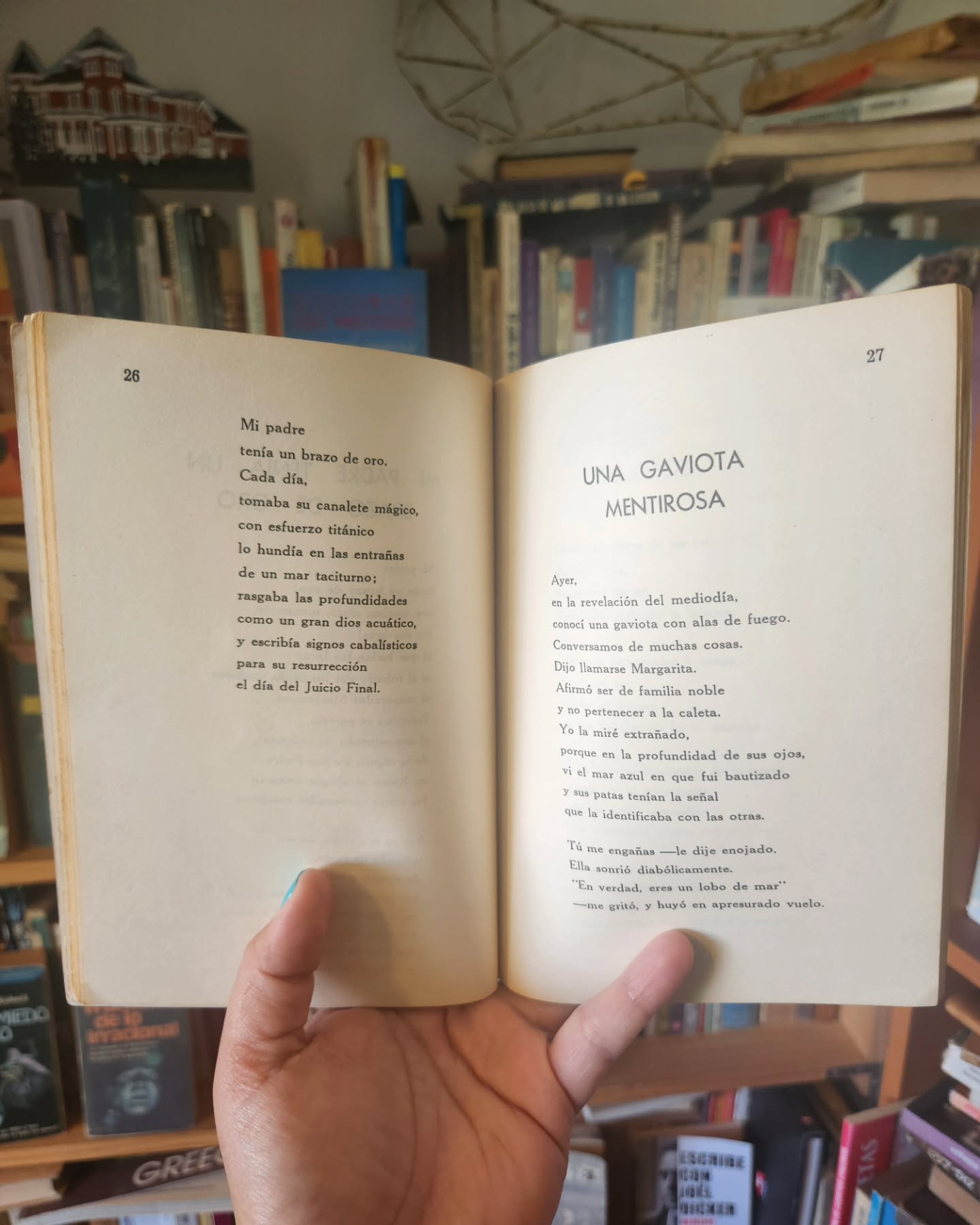 Mis días lejanos - Imagen 4