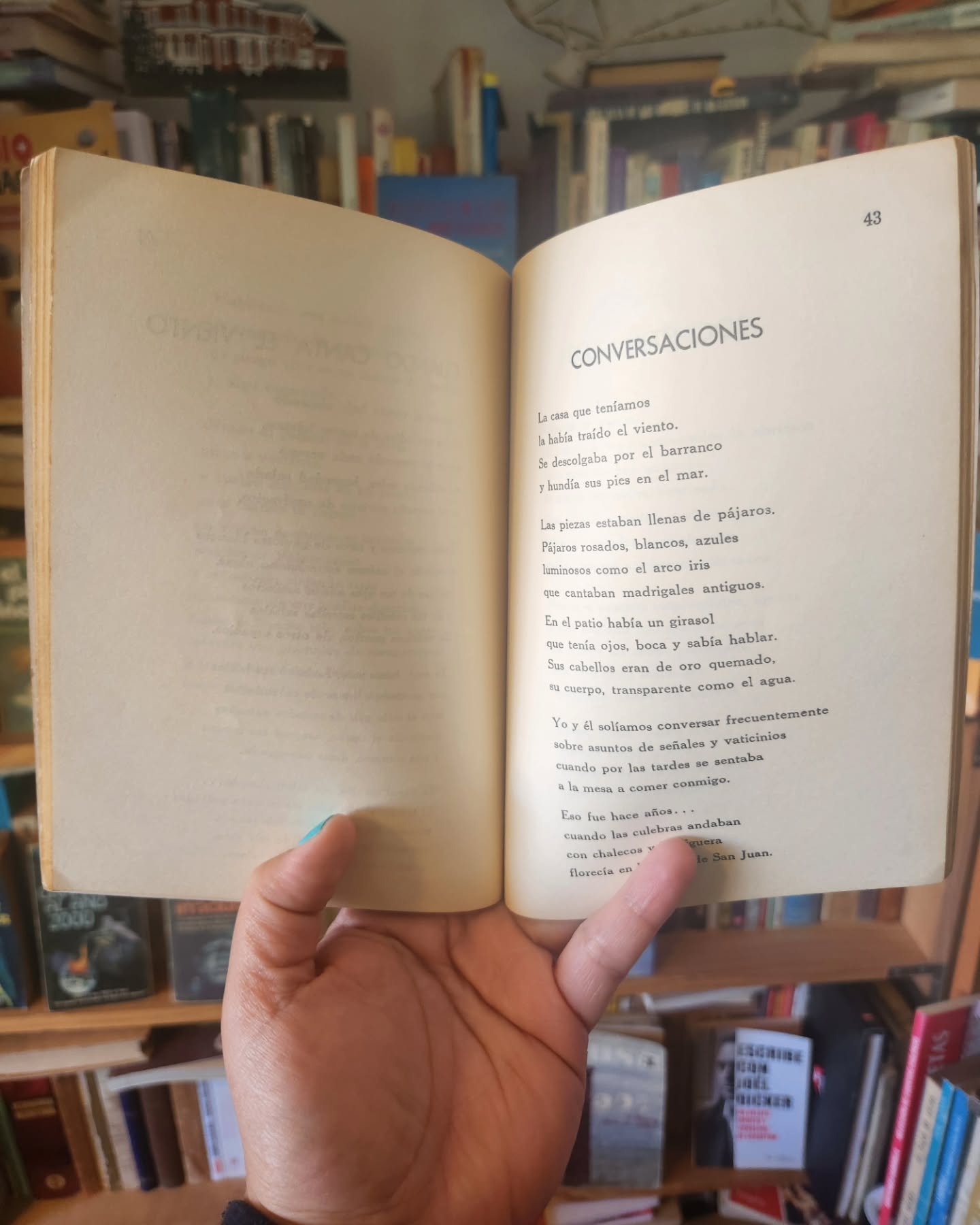 Mis días lejanos - Imagen 6
