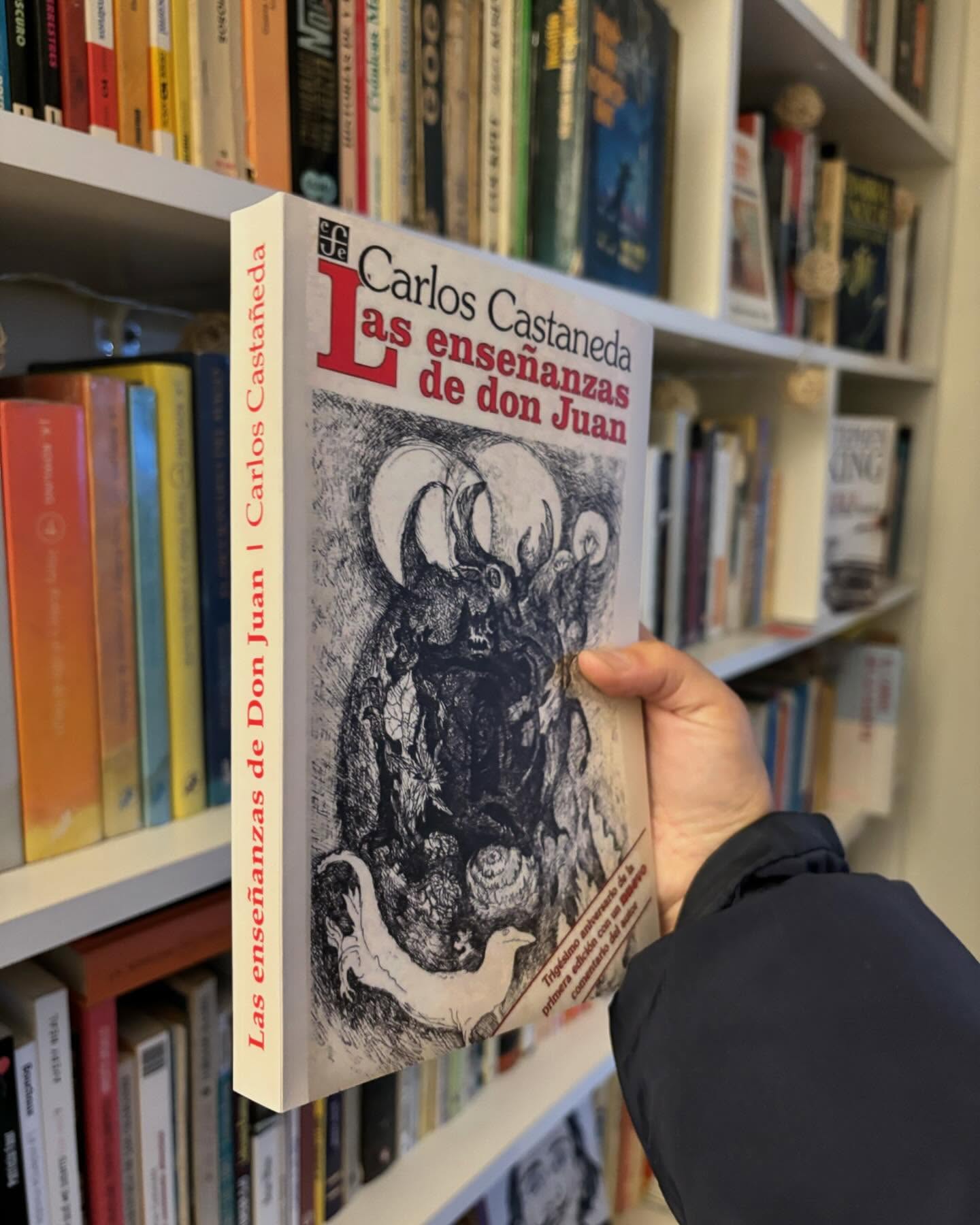 Las enseñanzas de Don Juan - Imagen 8