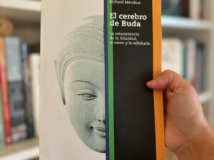 El cerebro de Buda