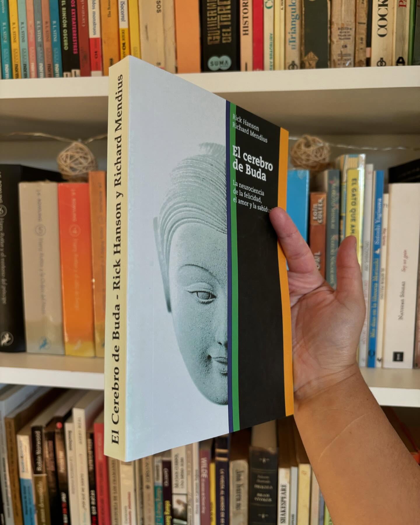 El cerebro de Buda - Imagen 8