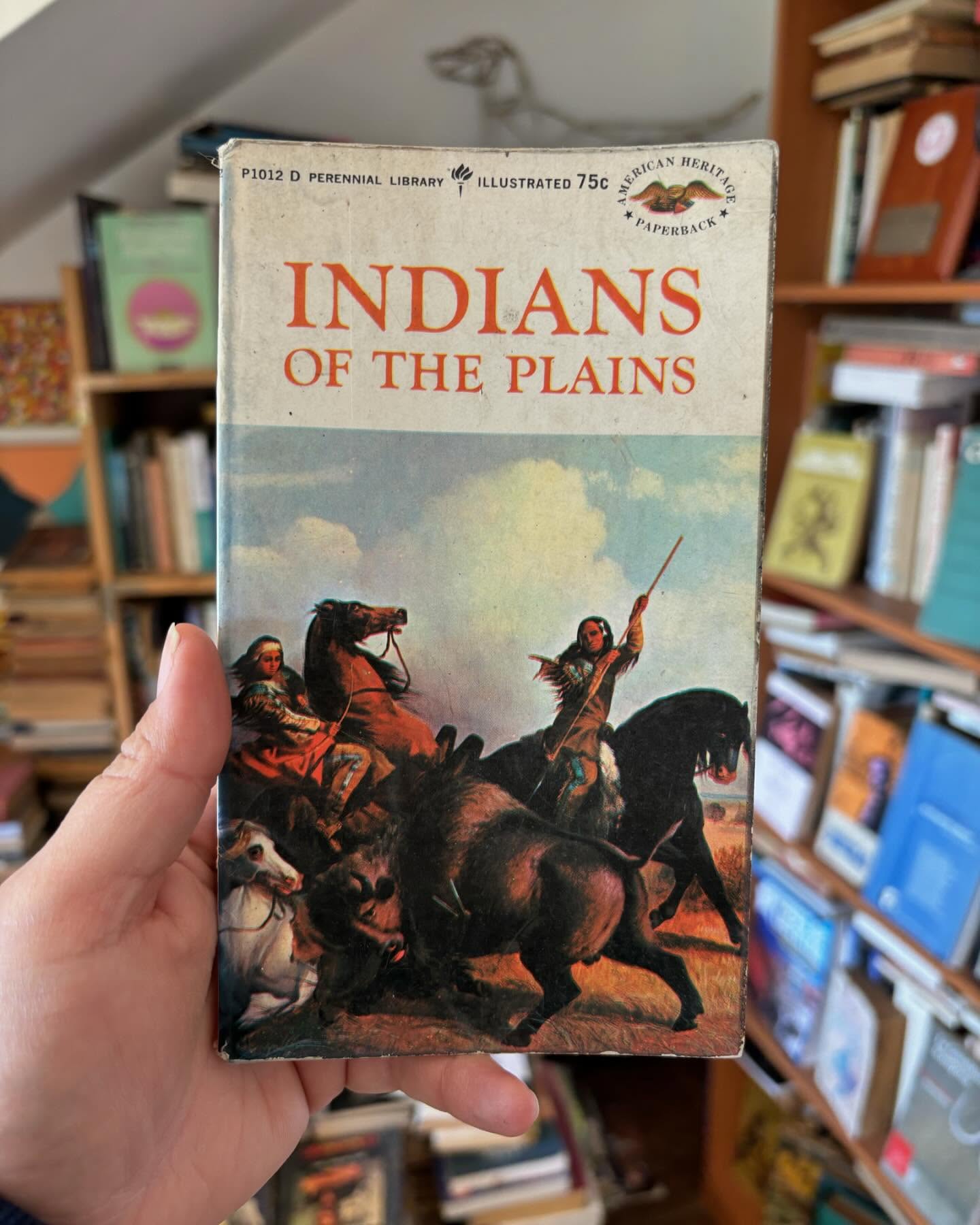 Indians of the plains