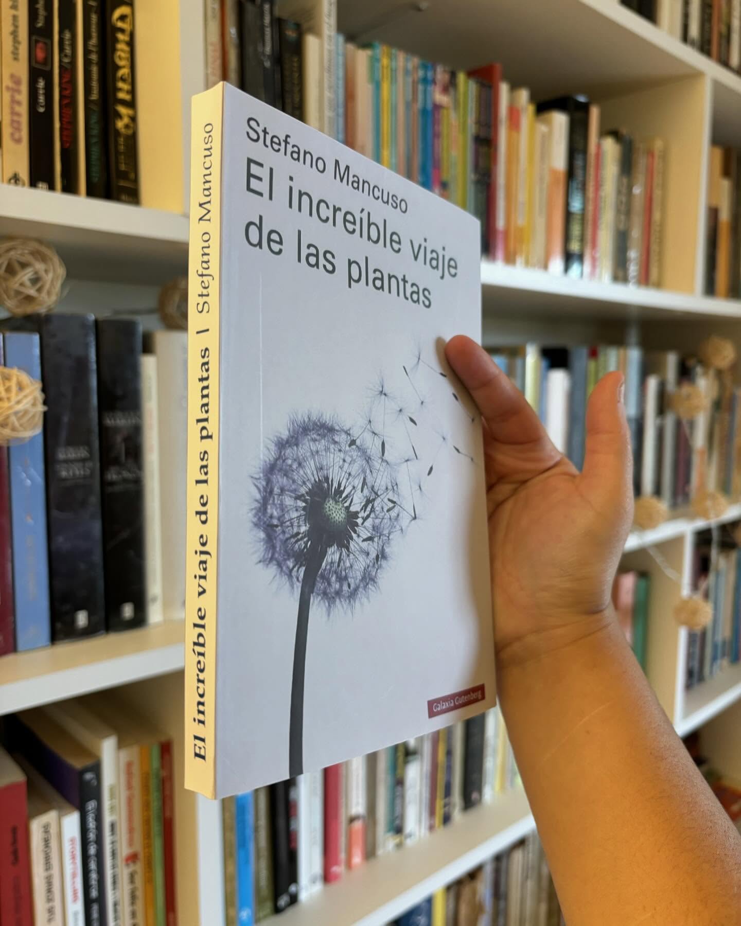 El increíble viaje de las plantas - Imagen 2