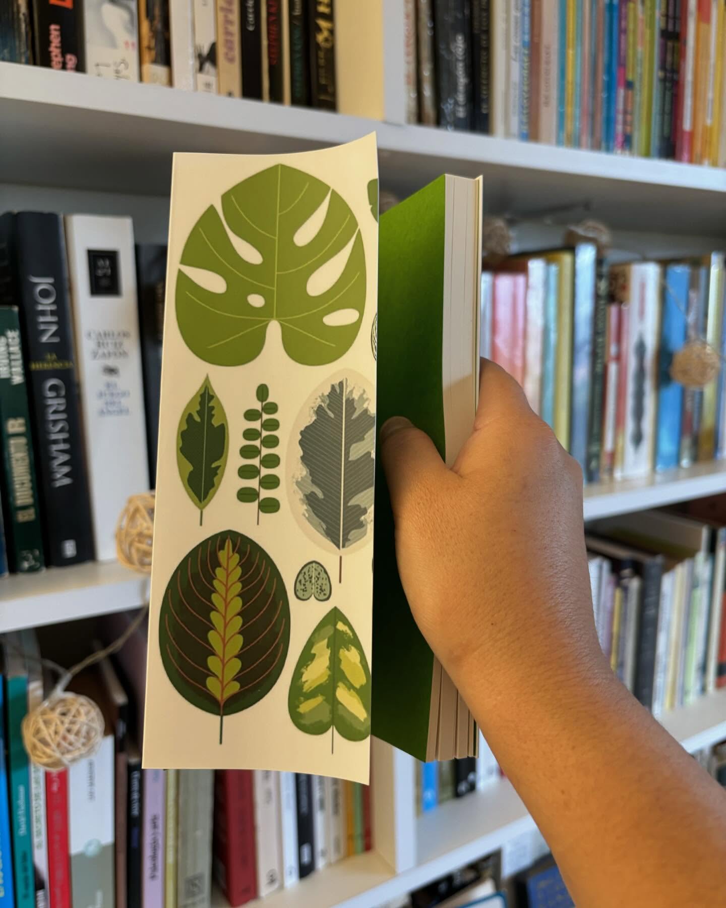 El increíble viaje de las plantas - Imagen 5