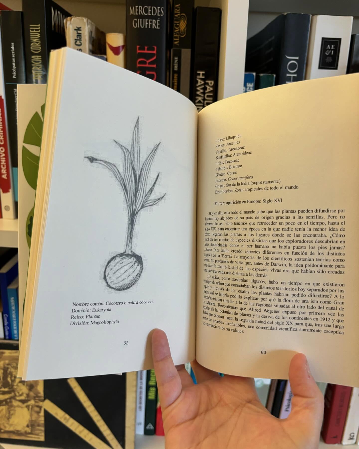 El increíble viaje de las plantas - Imagen 4