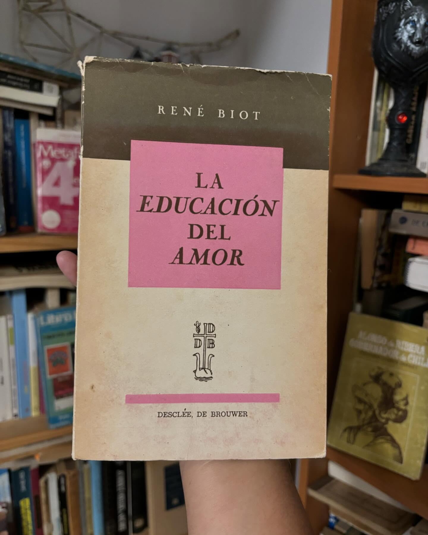 La educación del amor