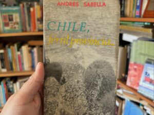 Chile fértil provincia…