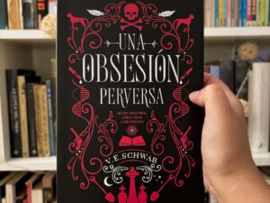 Una obsesión perfecta