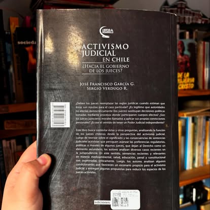 Activismo judicial en Chile: ¿Hacía El Gobierno De Los Jueces? - Imagen 5
