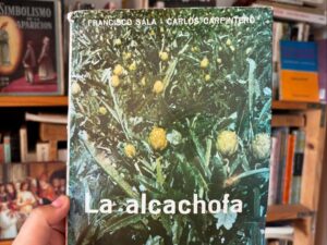 La alcachofa