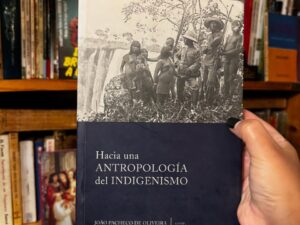 Hacia una antropología del indigenismo