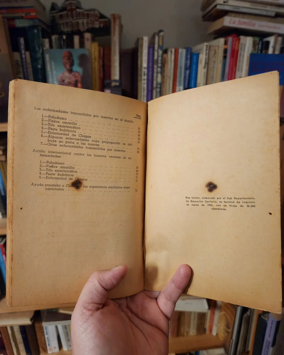 Contenidos educativos básicos sobre insectos portadores de enfermedades - Imagen 4