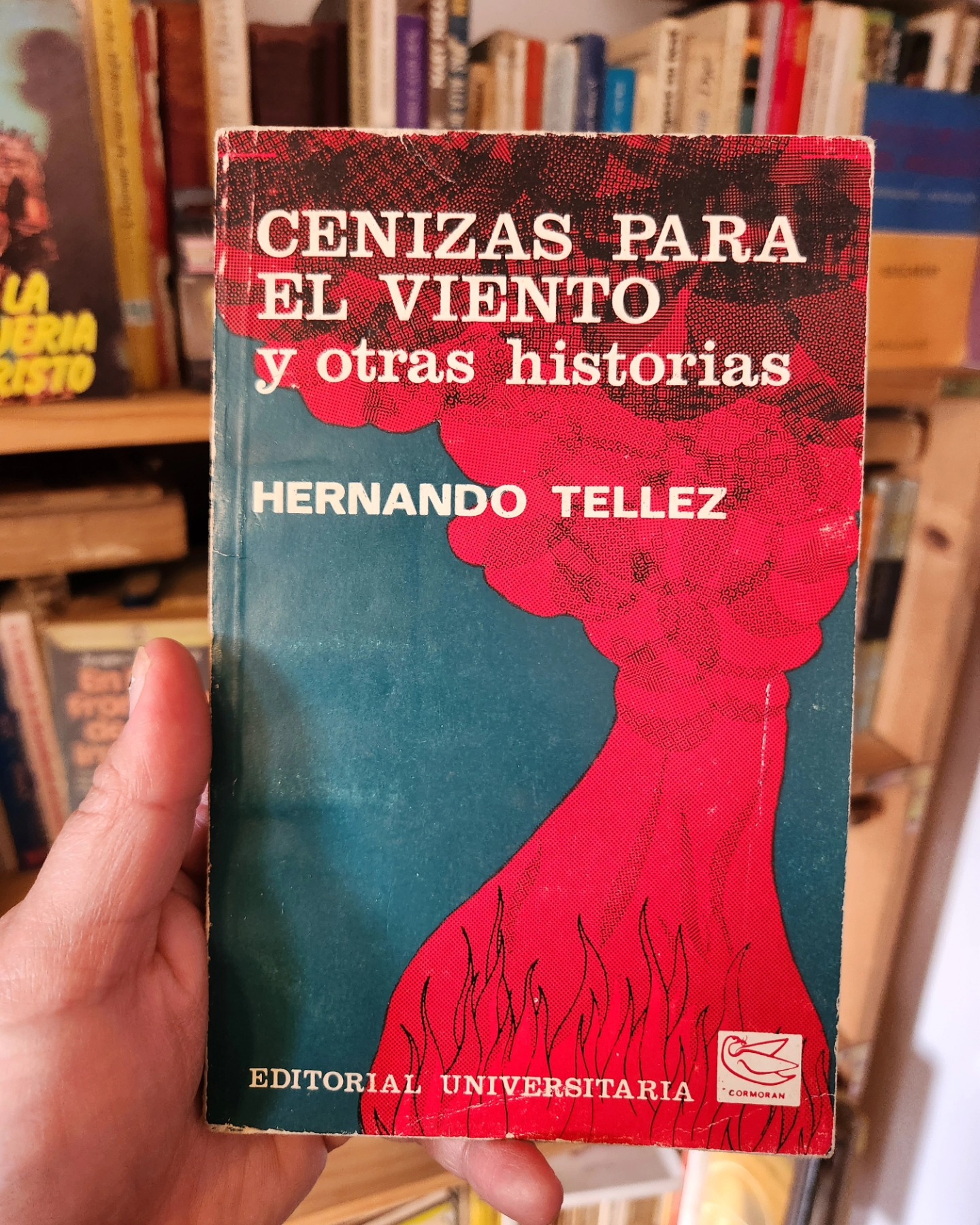 Cenizas para el viento y otras historias