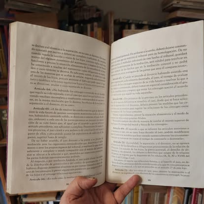 Familia y divorcio: razones desde una posición - Imagen 3