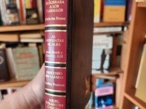 División de los libros en lengua castellana