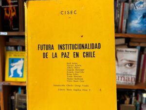 Futura institucionalidad de la paz en Chile