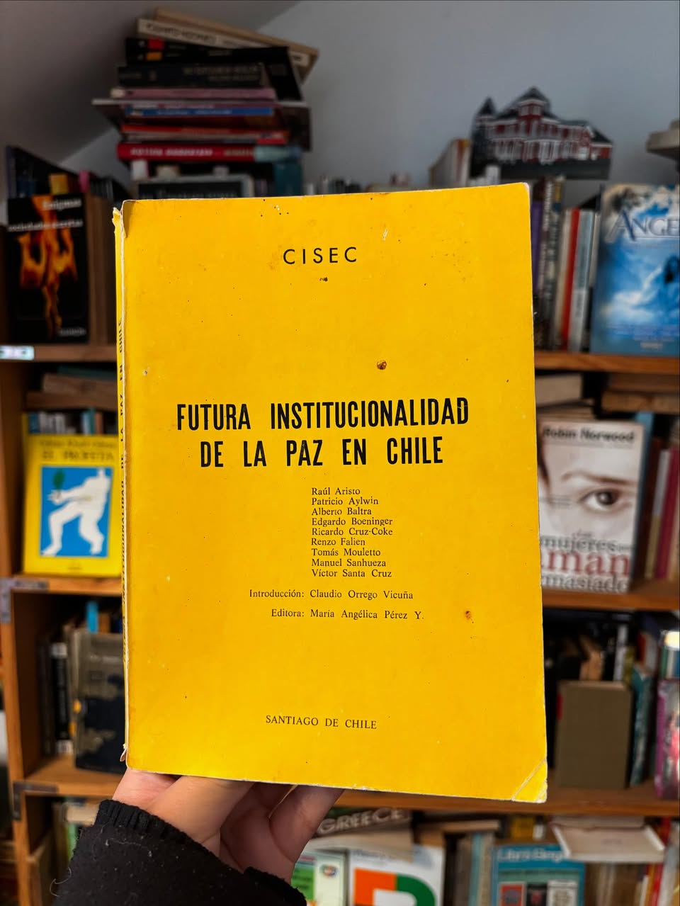 Futura institucionalidad de la paz en Chile