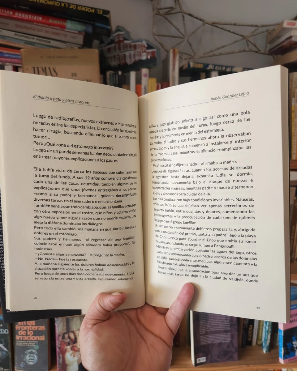 El diablo a plata y otras historias - Imagen 4