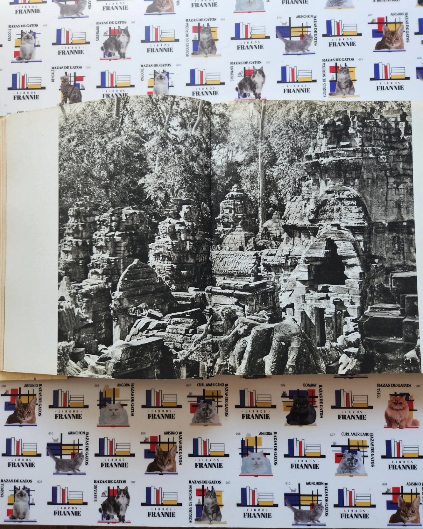 Angkor: Art and Civilization - Imagen 6