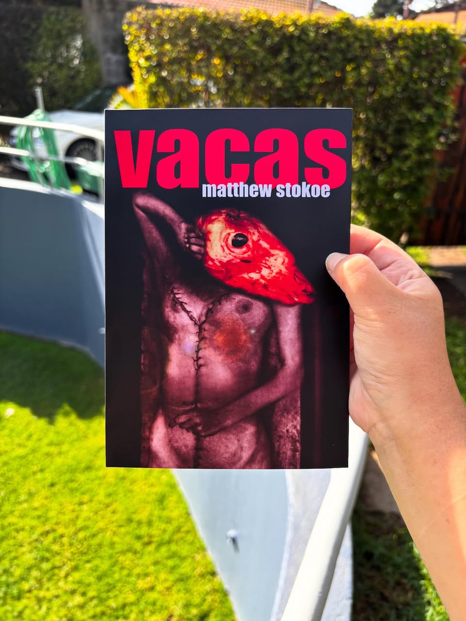 Vacas